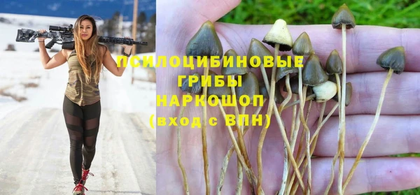 альфа пвп Гусь-Хрустальный