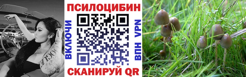 Галлюциногенные грибы GOLDEN TEACHER  Нефтекамск 