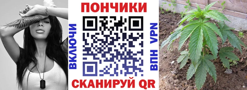 hydra как войти  Нефтекамск  Каннабис SATIVA & INDICA  где найти  